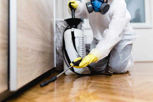 Trusted Bowling Green, MD Pest Control Experts