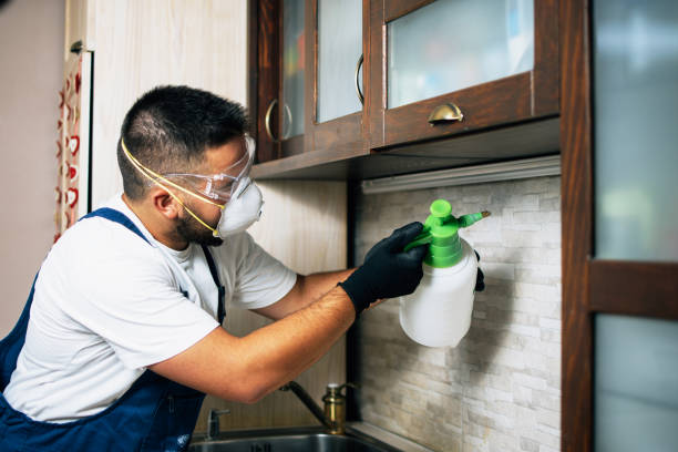 Pest Prevention Services in Bowling Green, MD