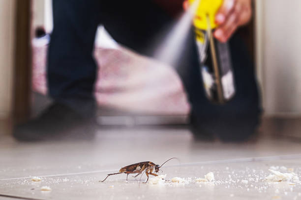 Best Mosquito Control Services  in Bowling Green, MD